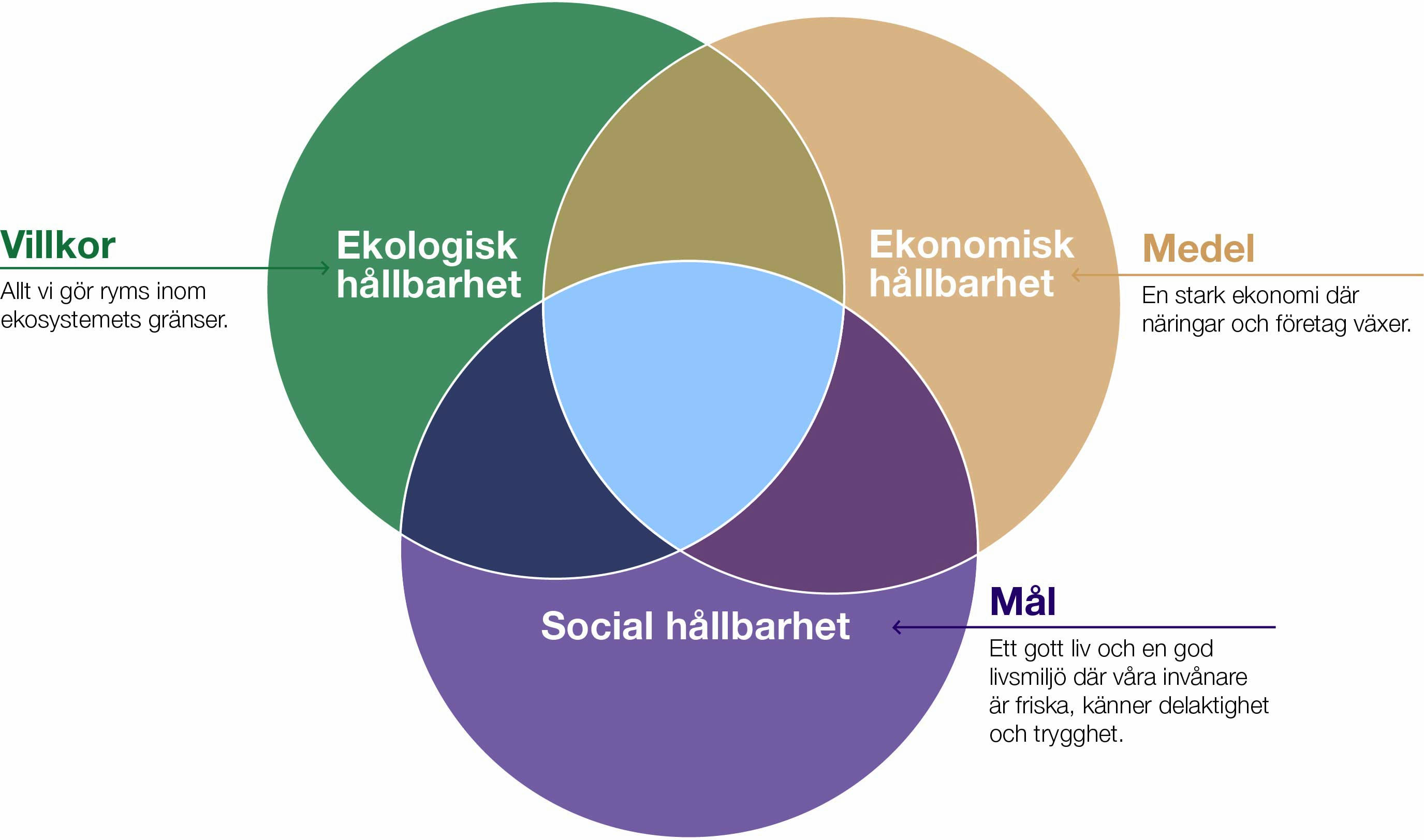 Tre överlappande cirklar som representerar förhållandet mellan ekologisk, ekonomisk och social hållbarhet.