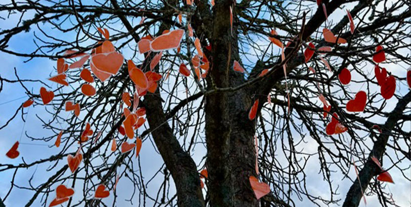 Träd med orangea hjärtan under orange week