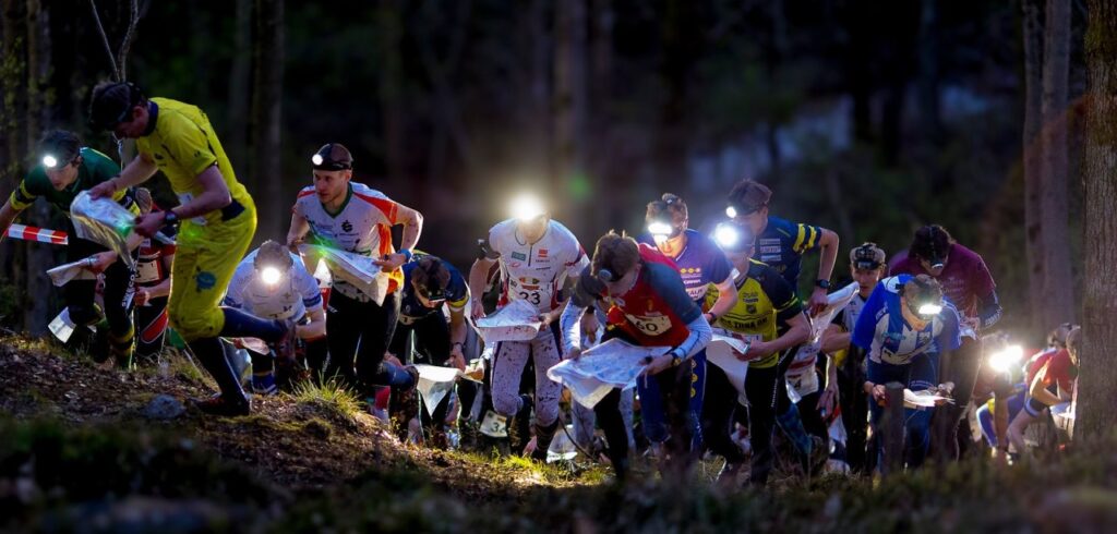 En grupp orienterare med pannlampor springer i mörk skog och läser kartor under en nattävling.