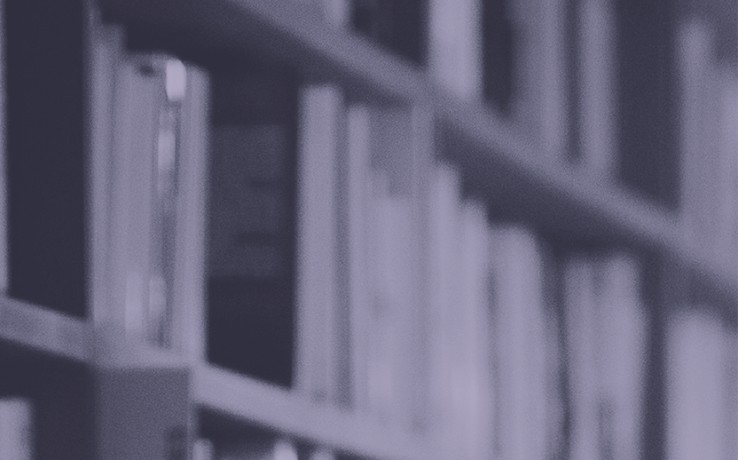 Oskarp bild av en bokhylla fylld med böcker i dämpade färger.