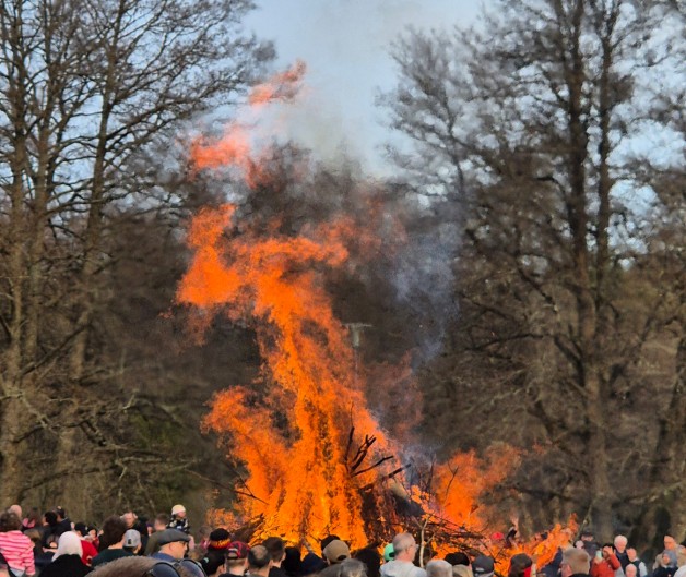 Stor brasa omgiven av många människor i en skog under dagtid.